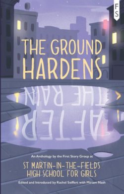 The Ground Hardens After the Rain