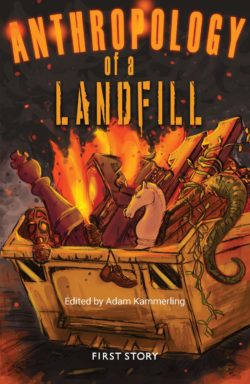 Anthropology of a Landfill